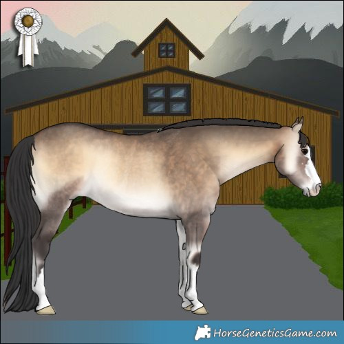 Horse Color:Brown Onyx Rabicano 