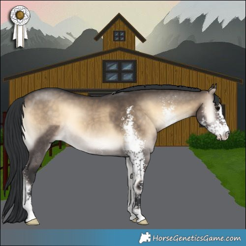 Horse Color:Brown Onyx Sabino 