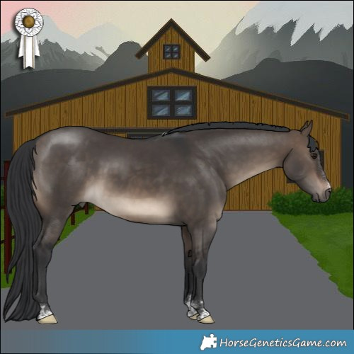 Horse Color:Brown Dun 