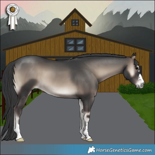 Horse Color:Blue Onyx 