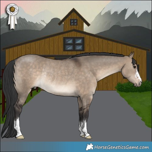 Horse Color:Brown Dun Rabicano