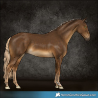 Horse Color:Chocolate Palomino Tobiano 