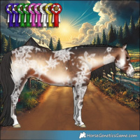 Horse Color:Brown Ice Onyx 