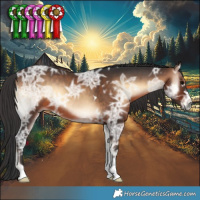 Horse Color:Brown Ice Onyx