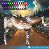 Horse Color:Brown Ice Onyx