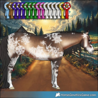 Horse Color:Brown Ice Onyx 