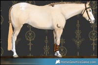 Horse Color:Buckskin Pearl Varnish 