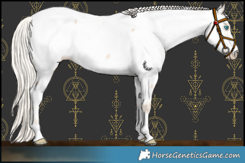 Horse Color:Cremello Dun Near Fewspot Rabicano 