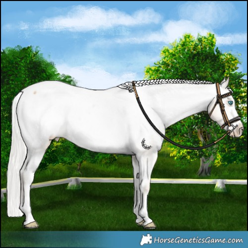 Horse Color:Silver Buckskin Pearl Snowcap 