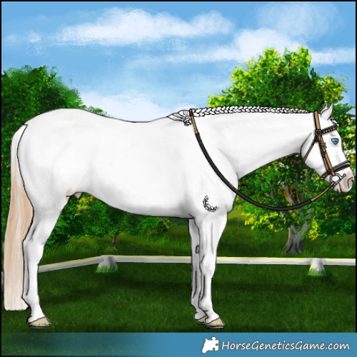 Horse Color:White Spotted Buckskin Pearl Dun Snowflake Varnish 