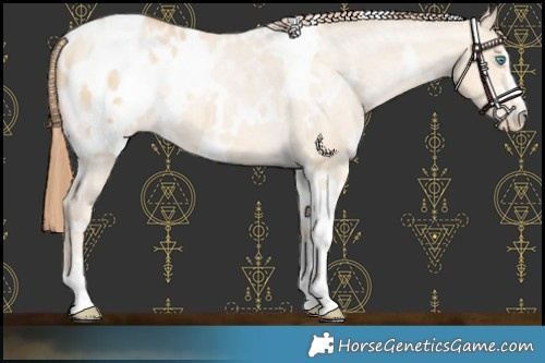 Horse Color:White Spotted Buckskin Pearl Dun Blanket 