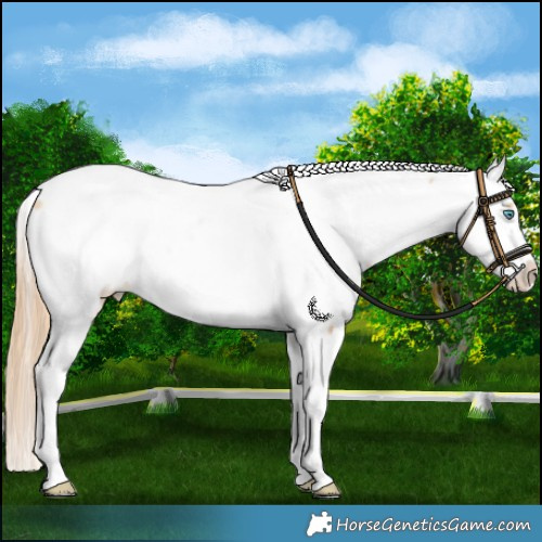 Horse Color:Buckskin Pearl Tobiano Near Fewspot 