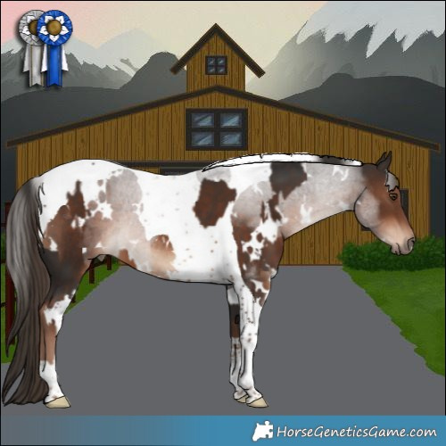Horse Color:White Spotted Liver Chestnut Tobiano Rabicano and White Spotted Liver Chestnut Tobiano Rabicano