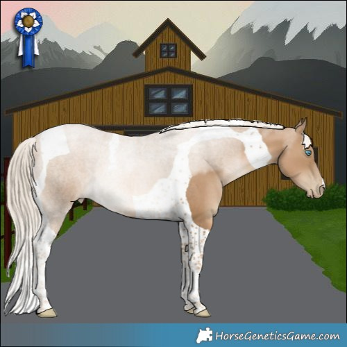 Horse Color:Chocolate Palomino Pearl Tobiano Rabicano 