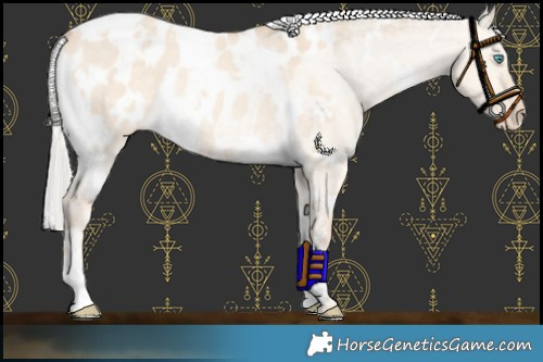 Horse Color:White Spotted Silver Perlino Dun Appaloosa Rabicano 