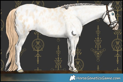 Horse Color:White Spotted Buckskin Pearl Dun Blanket 