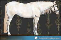 Horse Color:White Spotted Buckskin Pearl Dun Snowflake Varnish