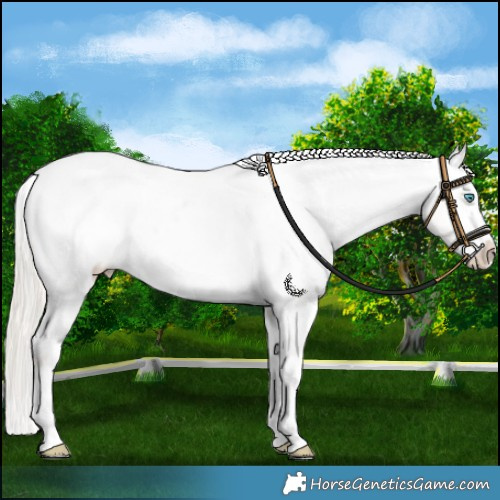 Horse Color:White Spotted Chocolate Palomino Pearl Dun Snowcap 