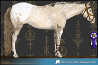 Horse Color:White Spotted Buckskin Pearl Snowcap Rabicano 