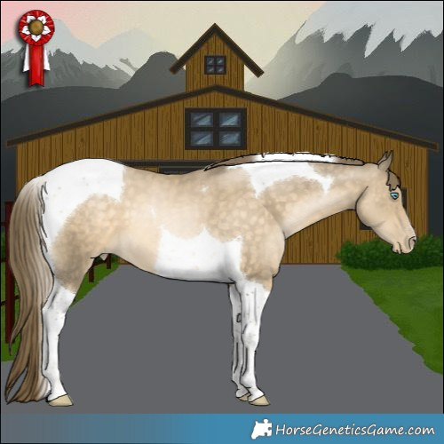 Horse Color:Buckskin Pearl Tobiano 