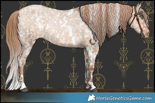 Horse Color:White Spotted Brown Pearl Dun Appaloosa Rabicano 