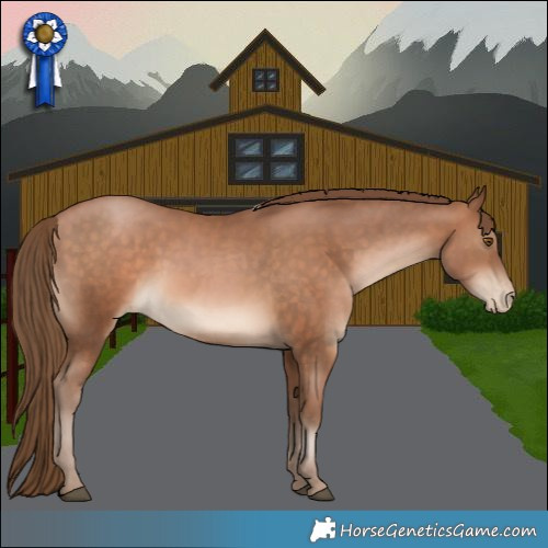 Horse Color:Brown Pearl 
