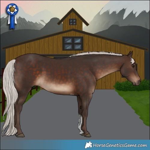 Horse Color:Silver Brown Tobiano 