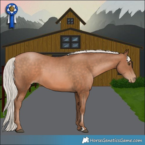 Horse Color:Silver Brown Pearl 