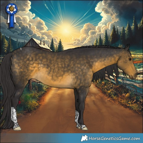 Horse Color:Buckskin Tobiano 