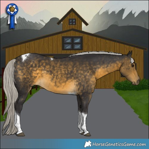 Horse Color:Silver Buckskin Tobiano 