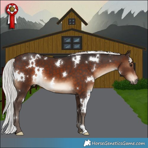 Horse Color:White Spotted Silver Brown 