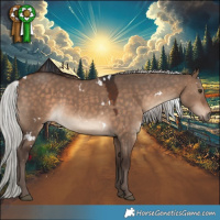 Horse Color:White Spotted Silver Brown Dun 