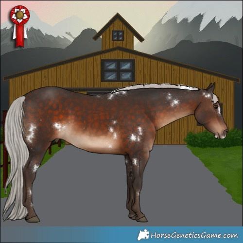 Horse Color:White Spotted Silver Brown 