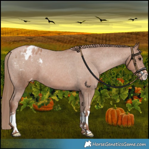 Horse Color:Black Pearl Varnish 