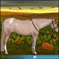 Horse Color:Black Pearl Varnish