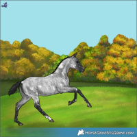 Horse Color:White Spotted Blue Roan Snowflake Varnish