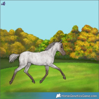 Horse Color:Silver Blue Roan Snowflake Varnish