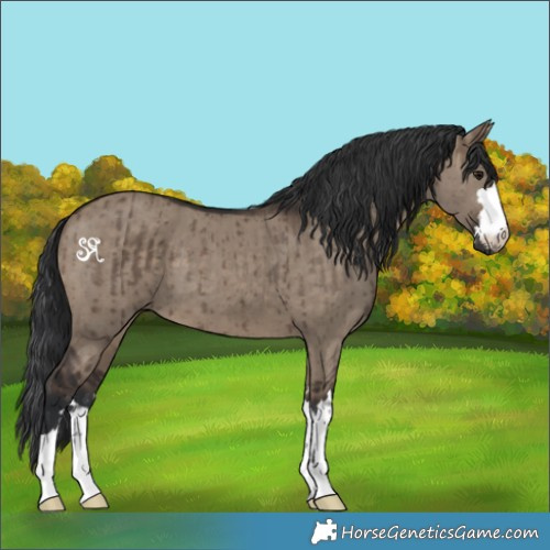 Horse Color:Brown Dun Brindle 