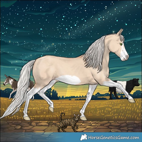 Horse Color:Silver Classic Champagne Dun Splash Frame 