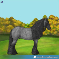 Horse Color:Blue Roan