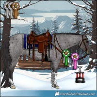 Horse Color:Smoky Blue Roan Tobiano 