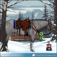 Horse Color:Smoky Blue Roan Tobiano 