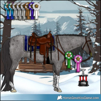 Horse Color:Smoky Blue Roan Tobiano