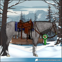 Horse Color:Smoky Blue Roan Tobiano 