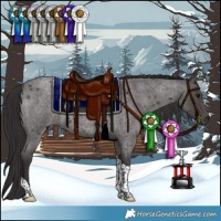 Horse Color:Smoky Blue Roan Tobiano 