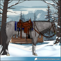 Horse Color:Smoky Blue Roan Tobiano 