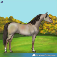 Horse Color:Liver Red Dun 