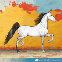 Horse Color:Bay Roan Near Leopard 