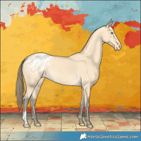 Horse Color:Amber Cream Champagne Appaloosa 