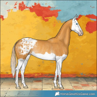 Horse Color:Gray Gold Cream Champagne Splash Appaloosa Rabicano